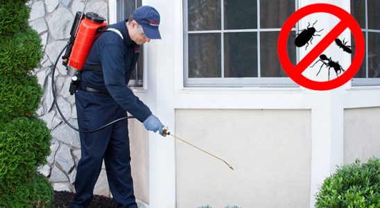 Dalaman Böcek ve Haşere İlaçlama böcek ilaçlama ve haşere kontrolü — ilaclama-tr.com
